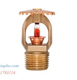 Đầu phun Sprinkler 68 độ Tyco hướng lên