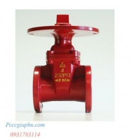 Van cổng FM FNCX-10/16