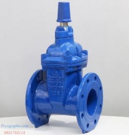 Van cổng ty chìm nắp chụp