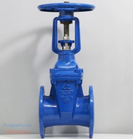 Van cổng ty nổi Shin Yi