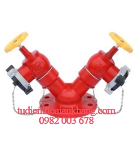 Đầu trụ chữa cháy 2DN65xDN100 + KĐ